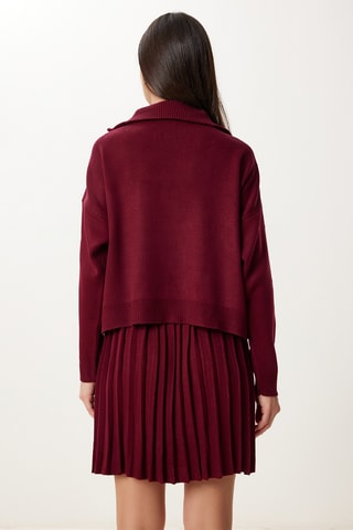 Pull et jupe plissée - Bordeaux