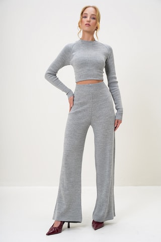 Crop top et pantalon palazzo taille haute - Gris