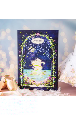 Calendrier de L'Avent : La Valse des Cygnes