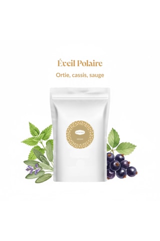 Infusion : Éveil Polaire