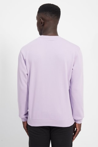 Sweat - Violet