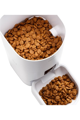 Alimentador automático