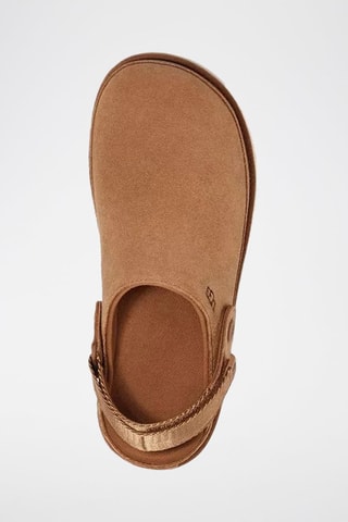 Ciabatte in pelle scamosciata Goldenstar - Cammello