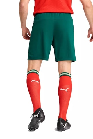 Short da calcio Federazione di calcio Portoghese - Verde