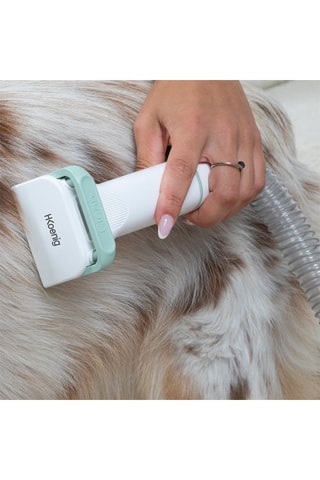 Aspirateur tondeuse pour animaux de compagnie