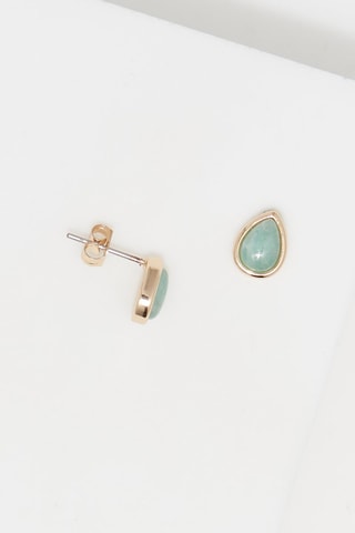 Puces Lola Amazonites