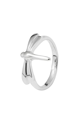 Bague Fortune - Plaqué argent