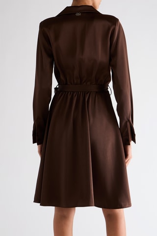 Robe patineuse - Marron