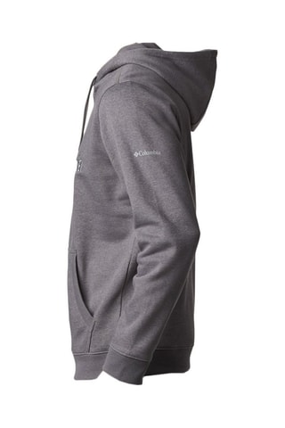Sweat à capuche Gris urbain
