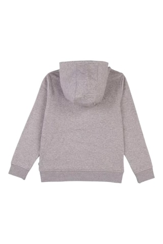 Sweat à capuche - Gris chiné