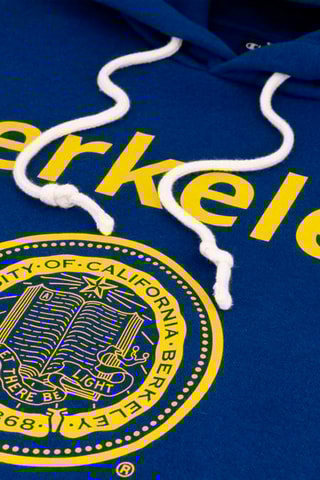 Sweat à capuche - Bleu