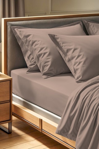 Drap-housse en coton renforcé 145 fils/cm² Tonne Brune - Marron clair