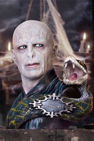 Figurine buste de Lord Voldemort Harry Potter - Dès 6 ans