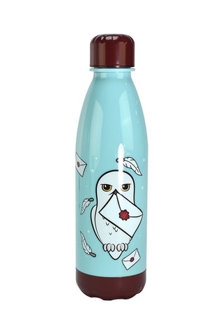 Bouteille en acier inoxydable Hogwarts Harry Potter - 50 cl - Dès 6 ans
