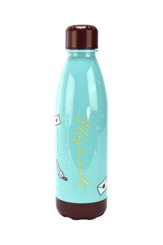 Bouteille en acier inoxydable Hogwarts Harry Potter - 50 cl - Dès 6 ans