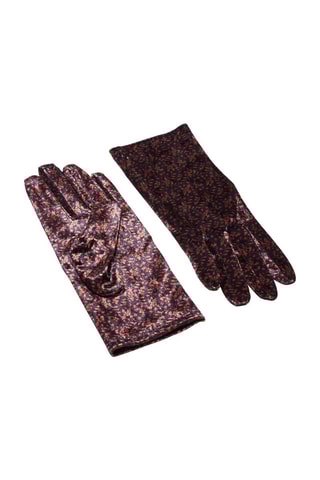 Guantes y tarjetero - Cobrizo - Marrón