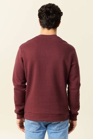 Sudadera de algodón orgánico  - Rojo