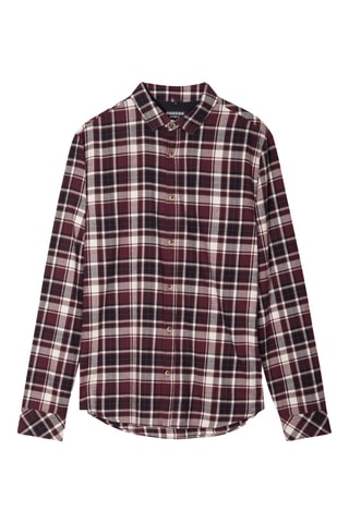 Camisa de algodón orgánico  - Violeta