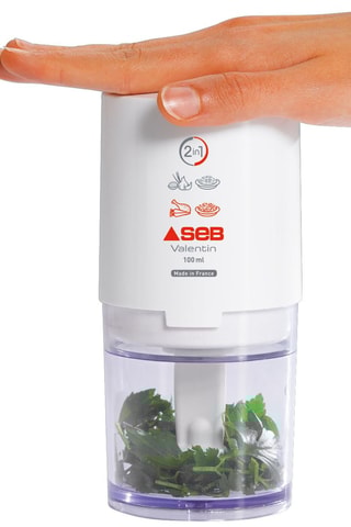 Mini hachoir Valentin 2-en-1 compact - 100 ml - 220 W