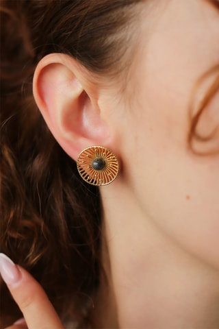 Puces - Labradorites