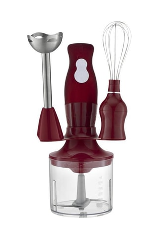 Mixeur multifonction - 500 ml