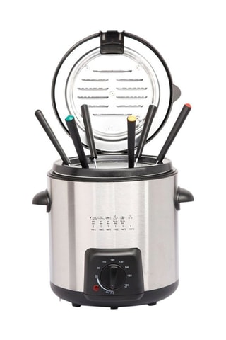 Friteuse électrique 2-en-1 en acier inoxydable