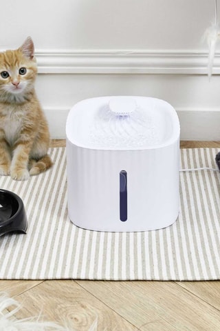 Fontaine à eau pour chat - 3 l