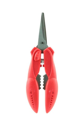 Pinces/ciseaux à crustacés en acier inoxydable