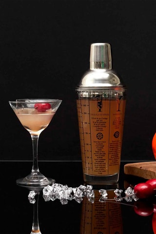 Shaker avec recettes en verre borosilicate - 450 ml