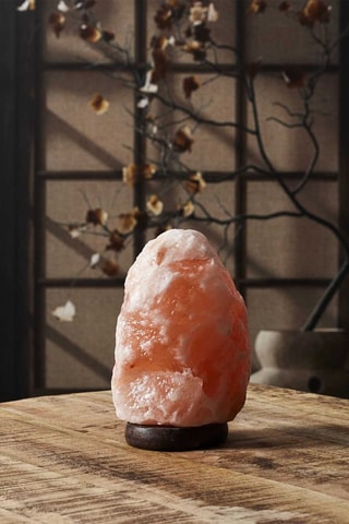 Lampe à poser - Rose et marron