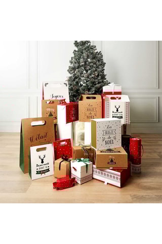 Boîte à cadeau pour bouteille - Coloris aléatoire