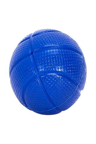 Mini de jeu de basket - A partir de 18 ans