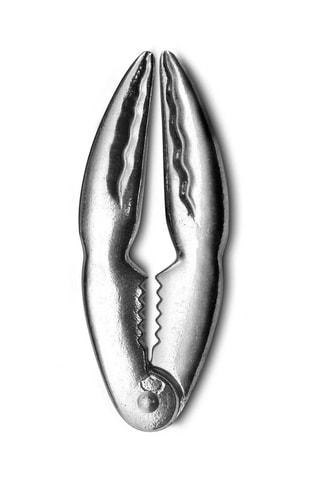 Pince à crustacés en acier inoxydable