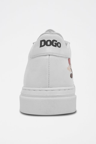 Baskets Friends Till Eternity Harry Potter  - Multicolore