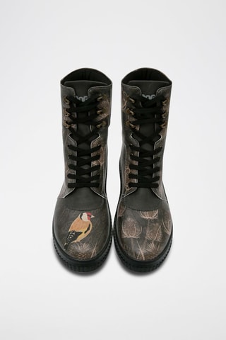 Bottines Goldfinch - Multicolore