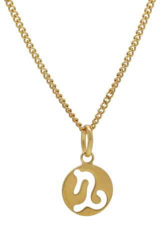 Collier Capricorne - Argent plaqué or jaune