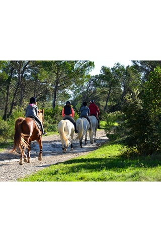 Coffret cadeau de Noël - France - 3 à 5 personnes - Validité 39 mois