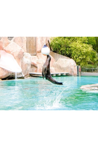 Journée en famille au parc - Parc zoologique d'Amnéville - 3 personnes - Validité 39 mois