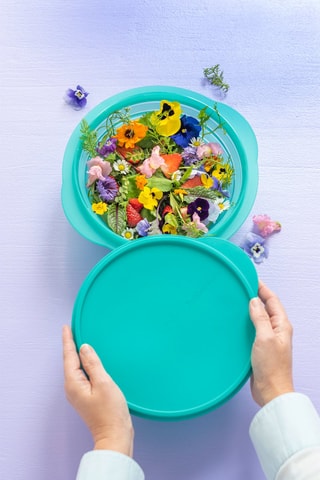 Boîte de conservation Paradise - 1,5 l