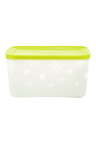 Boîte de conservation Igloo - 2,5 l - Blanc et vert clair
