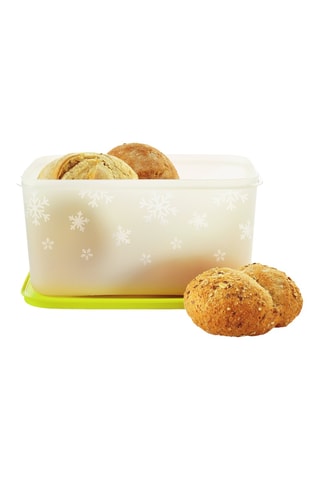 Boîte de conservation Igloo - 2,5 l - Blanc et vert clair