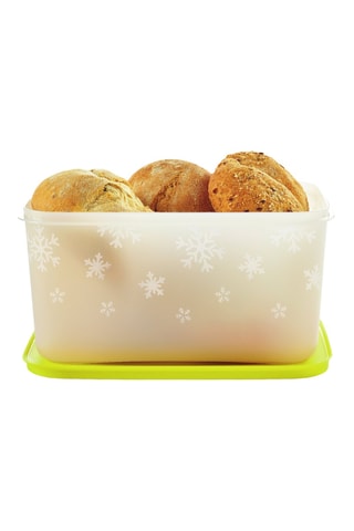 Boîte de conservation Igloo - 2,5 l - Blanc et vert clair