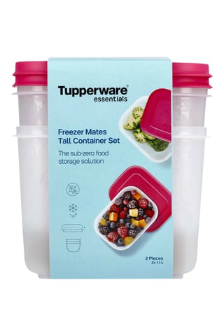 2 boîtes de conservation en plastique sans BPA Igloo - 1,1 l