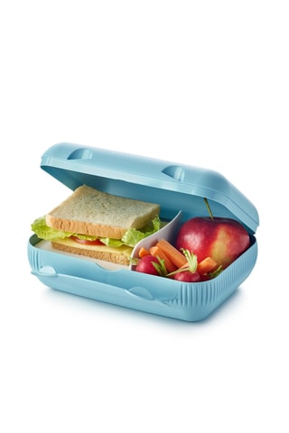 Boîte à lunch - 21,7 x 15 x 7,5 cm