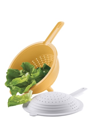 2 passoires - 20,3 et 23 cm