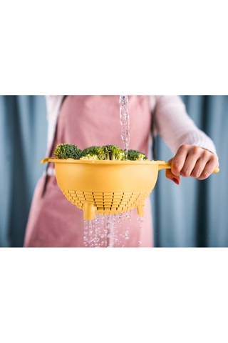 2 passoires - 20,3 et 23 cm