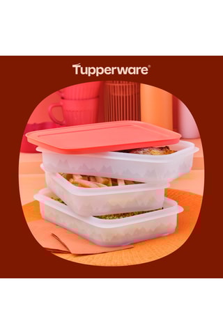 3 boîtes de congélation Empilofreeze - 675 ml