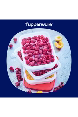 3 boîtes de congélation Empilofreeze - 675 ml