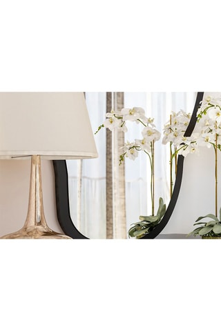 Miroir Couldy - 45 x 85 x 2,2 cm