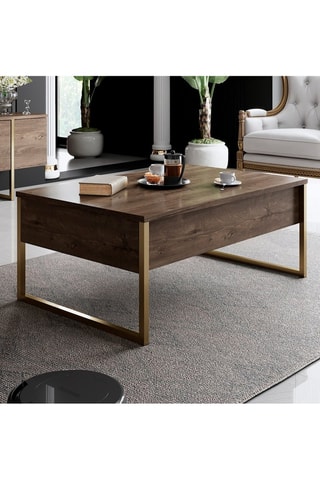 Meuble TV 2 portes et table basse - Imitation bois et doré